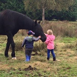 Meet your Posher, Brittany